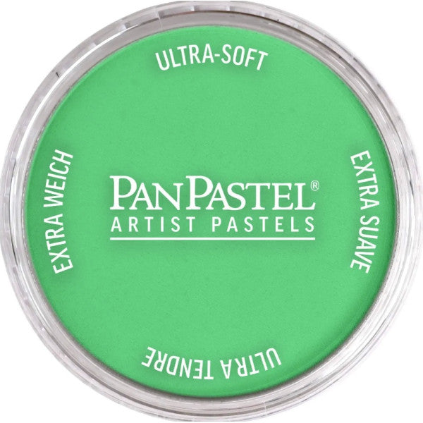 PanPastel 26707 Blue Green Light Ultra Soft Artist Pastel