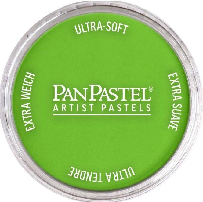 PanPastel 26905 Yellow Green Ultra Soft Artist Pastel