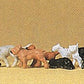 Preiser 14165 HO Assorted Cats & Dog Figures (Set of 12)
