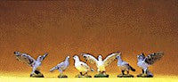Preiser 47084 G Animals Pigeons Figures (Set of 6)