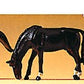 Preiser 65323 O Animals Assorted Horses Figures (Set of 3)