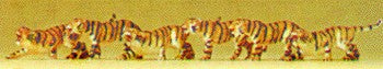 Preiser 79714 N Animals - Tigers Figures (Set of 6)