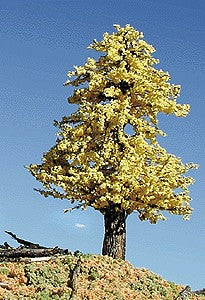 Timberline Scenery 215 Deciduous 6-9 Autumn Gold Tree