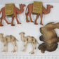 Acme 100-619-17 Camels (Set of 6)