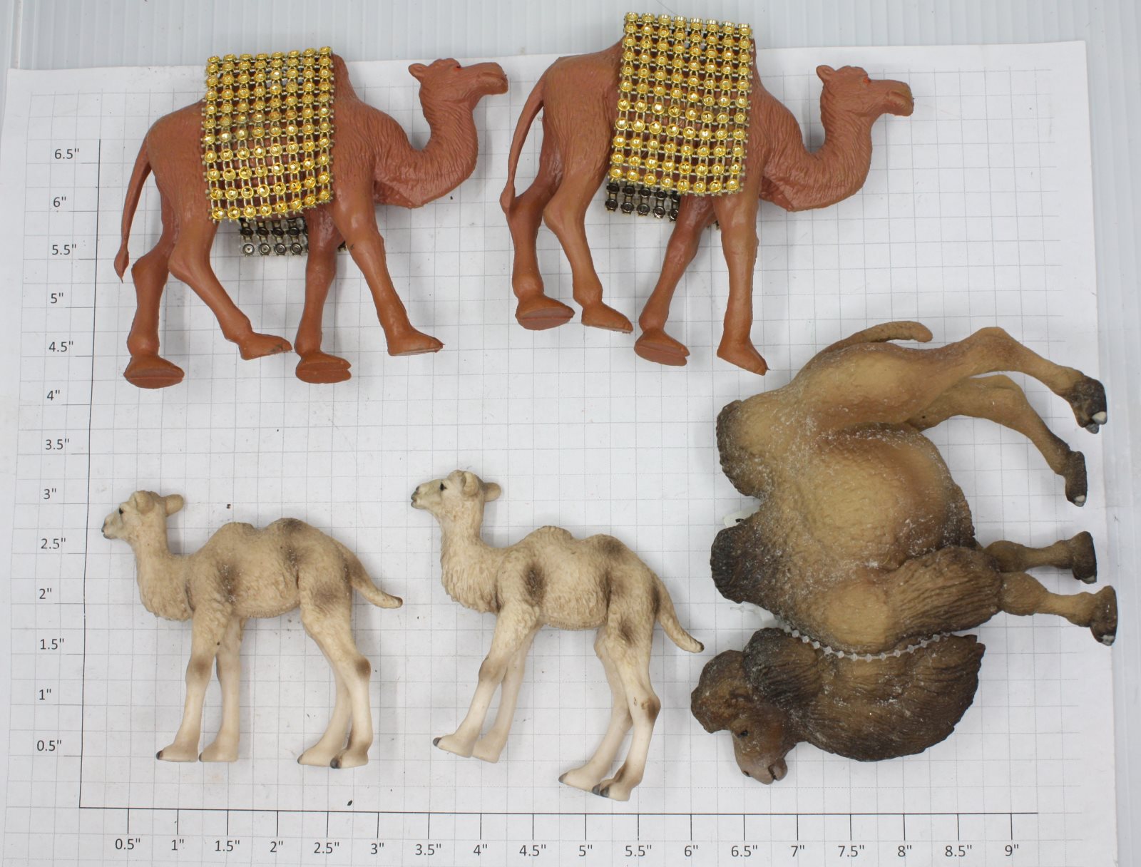 Acme 100-619-17 Camels (Set of 6)