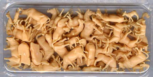 Model Power 5793 HO Unpainted Animals Plastic Figures (Set of 72)