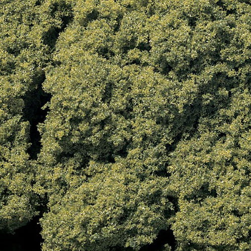 Woodland Scenics FC57 Light Green Foliage Clusters 45 Cu. In. Bag