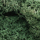 Woodland Scenics L162 Light Green Lichen - 48 Oz. Bag