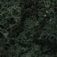 Woodland Scenics L164 Dark Green Lichen - 48 oz. Bag