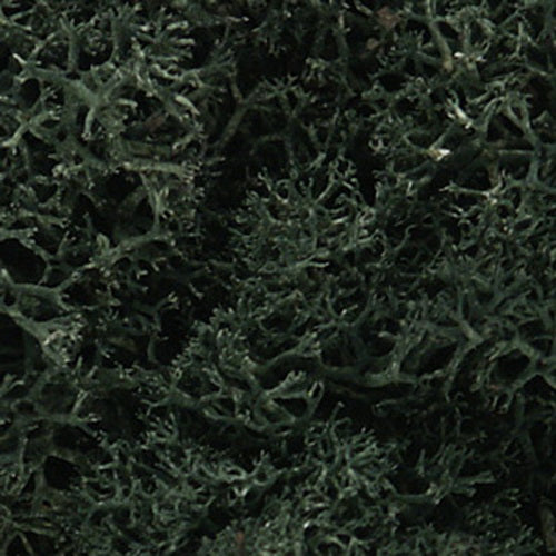 Woodland Scenics L164 Dark Green Lichen - 86.6 In Cu Bag