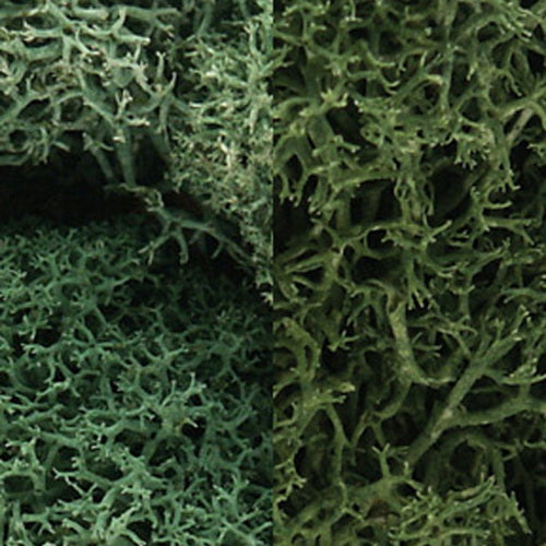 Woodland Scenics L167 Light Green Mix Lichen 3 Quart Bag