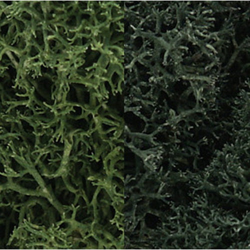 Woodland Scenics L168 Dark Green Mix Lichen 173 In Cu Bag