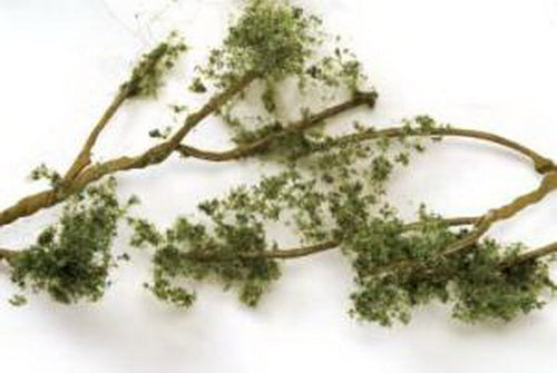 Bachmann 32644 Scene Scapes Medium Green Wire Foliage Branches (Set of 60)
