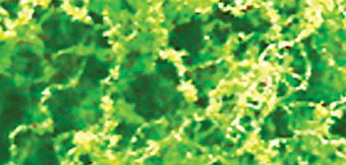 JTT Scenery Products 95064 Light Green Fine Foliage-Fiber Cluster