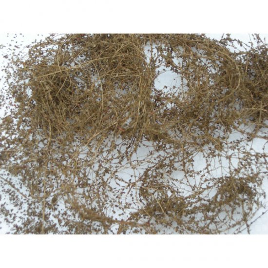 JTT Scenery Products 95063 Dry Vines Dead Foliage 10 Gr. Pack