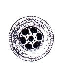 Berkshire Valley 609 O Truck Tire on Wheel (4)