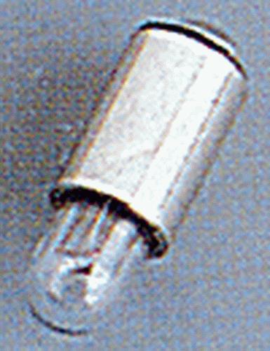 Brawa 3251 16 Volt Clear Push-In Bulb (Pack of 2)
