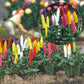 Busch 1218 HO Garden Lupines (Set of 16)