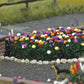 Busch 1219 HO Dahlias (120)