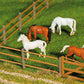 Faller 180430 HO Paddock Fence Kit