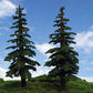 Grand Central Gems T38 10"-11" Large Lodgepoles