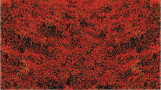 Heki 1588 Decograss Red Clover