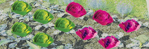 JTT Scenery Products 95528 O 1/2'' Cabbages & Lettuces (Set of 20)