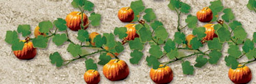 JTT Scenery Products 95531 HO 1-3/8" Pumpkins (Pack of 6)