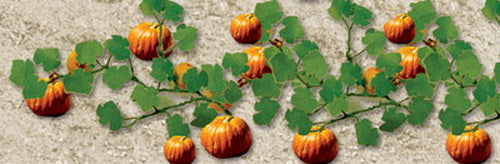 JTT scenery Products 95532 O 2-1/2'' Pumpkins (Pack of 6)