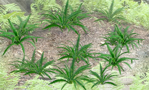 JTT Scenery Products 95533 HO 5/8'' Ferns (Pack of 12)