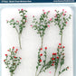 JTT Scenery Products 95540 O 2-1/2'' Rose Bushes (Pack of 6)