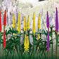 JTT Scenery Products 95541 HO 1/2'' Lupines (Pack of 8)