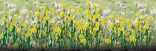 JTT Scenery Products 95543 HO 1/2'' Daisies (Pack of 24)