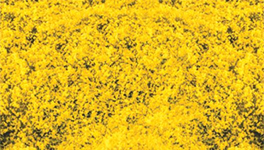 Heki 1589 Goldenrod 11 x 5-1/2 28 x 14 cm Decograss Pad