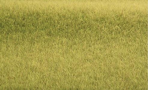 Heki 1863 17-1/2" x 6-1/2" Savannah Green Tuftgrass Pad