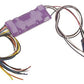 SoundTraxx 826116 Tsunami TSU-1000 1-Amp Digital DRGW C-Class Sounds