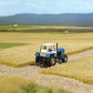 Busch 1310 Realistic Cornfield / Grassy Field Pads 8-1/4 x 11-11/16