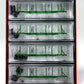 Micro-Trains 99300088 N Undecorated 65' Log Car Green Runner Pack (Set of 4)