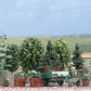 Busch 1211 Garden Detail Set - Kit