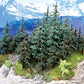 Grand Central Gems T38 10"-11" Large Lodgepoles