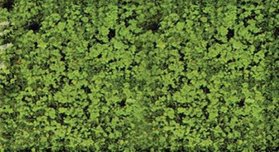 Heki 1551 Medium Green 11 x 5-1/2 27.9 x 14 cm Foliage Pad