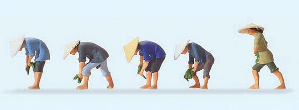Preiser 10574 HO Working Farmers at the Rice Field #2 Figures (Set of 5)