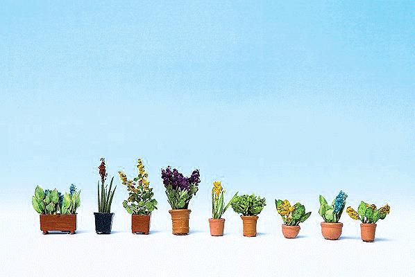 Noch 14011 Assrtd Flower Pots #1 9/