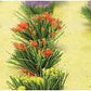 JTT Scenery Products 95581 HO Detachable Flower Bushes (Pack of 30)