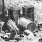 B.T.S. 760 S 55-Gallon Drums (2)