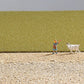 Noch 07084 Mid Green Field Grass 5mm 0.2 Long - 1.05 Oz Bag