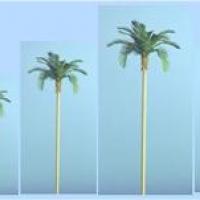 The N Scale Architect 60511 Palm Spring Palms 6/