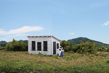 Walthers 933-3335 Hen House