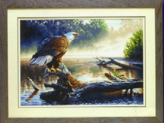 DIMENSIONS 91379 20"x14" Eagle Hunter Paint By Number Kit