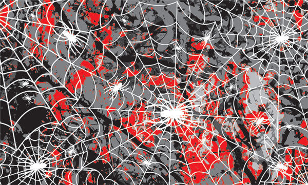 PineCar P3983 Spider Web Body Skin Custom Transfer